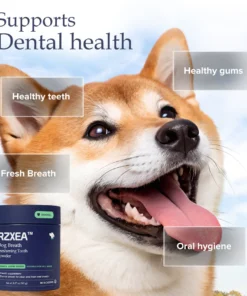 oral care cleaning accessory