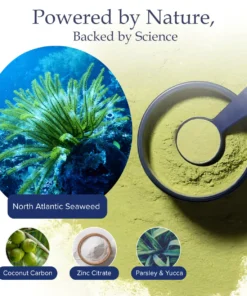 personal oral care device