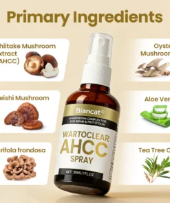 daily skin care routine