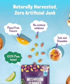 daily wellness routine