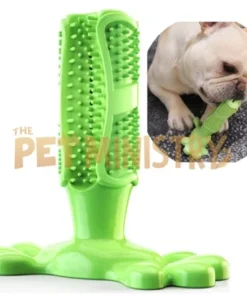 (β€οΈClearance Sale: Buy 2 Get Extra 10% OFF) Dog Toothbrush