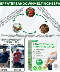 herbal wellness lifestyle patch