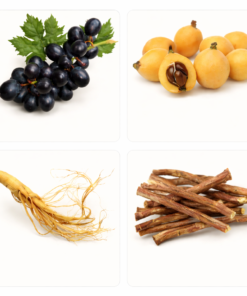 botanical fresh-air sensation