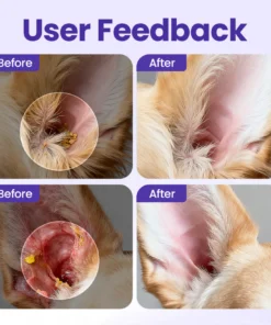 pet hygiene care routine