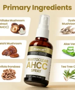 simple lifestyle wellness care