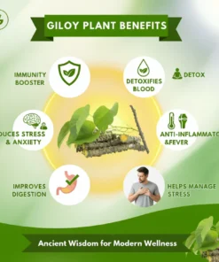 herbal wellness routine patches