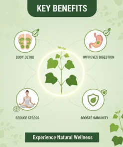 daily inner balance support