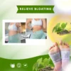 natural botanical wellness stickers